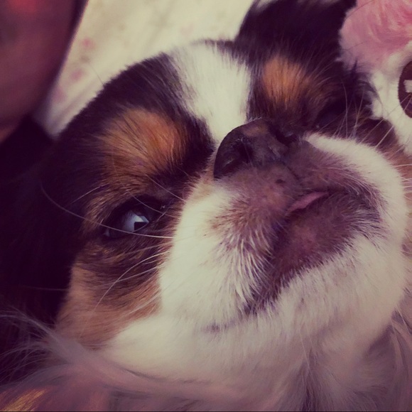 Meet your Posher - Picture 3 of 4